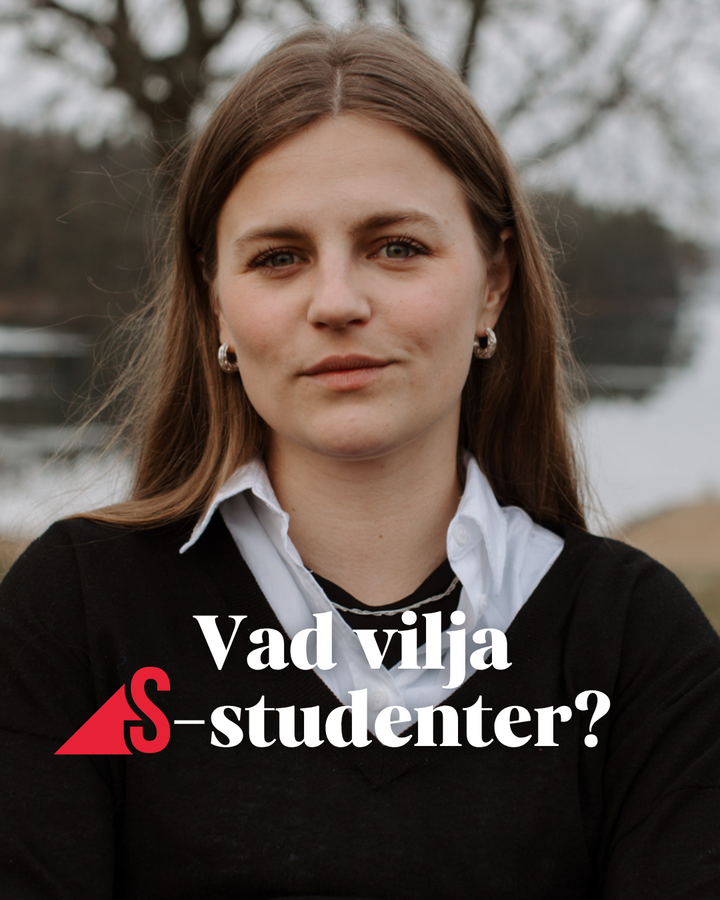 Vad vilja S-studenter?